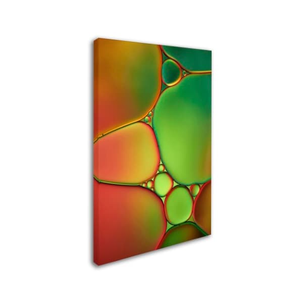 Cora Niele 'Stained Glass II' Canvas Art,22x32